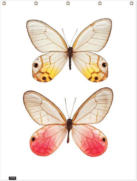 Image du produit Juniqe Butterfly 4 - Papillons (150 x 200 cm)