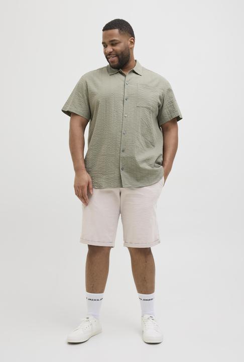 Actual product image Jack & Jones Plus Size Regular Fit Slim Fit Shorts Slim Fit Shorts (48)
