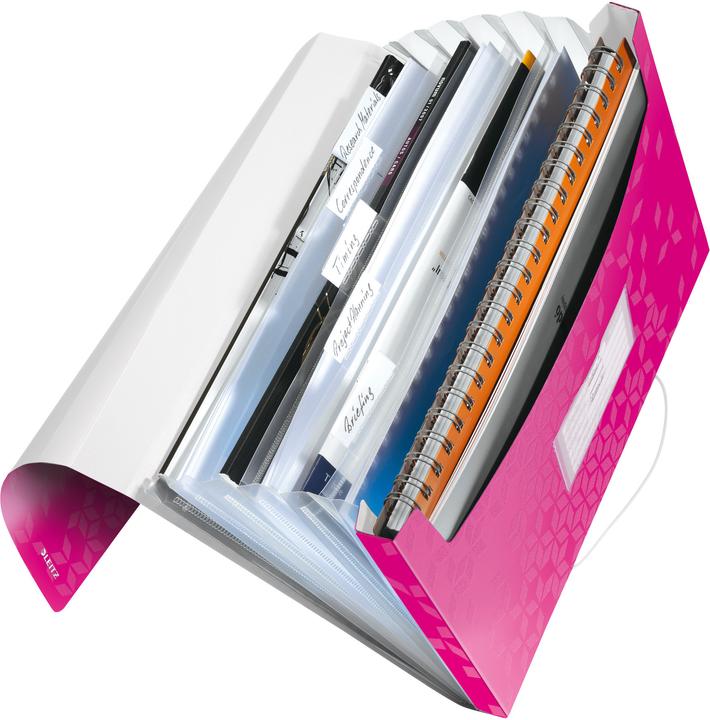 Immagine prodotto Leitz WOW - Cartelle di progetto (A4, 1 x)
