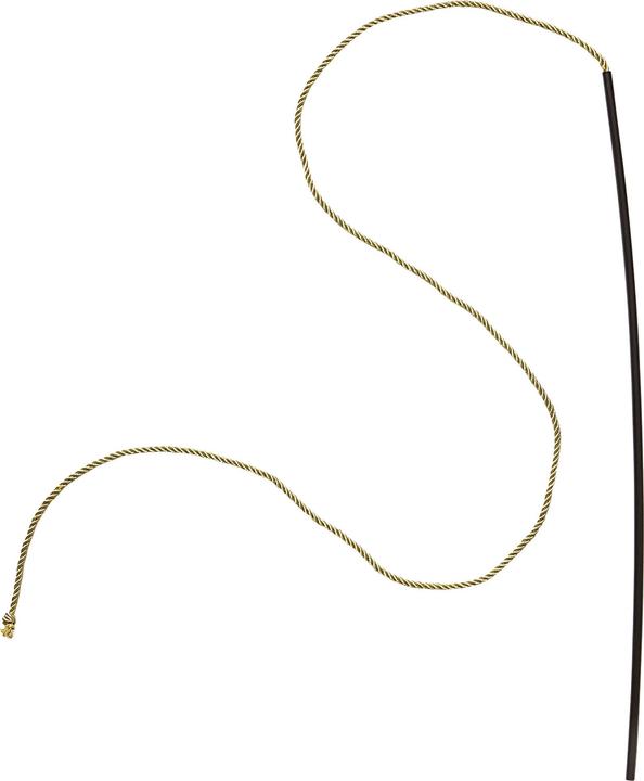 Actual product image Widmann Whip ringmaster