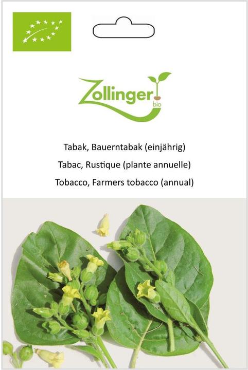 Actual product image Zollinger Bio Tobacco, farm tobacco (annual) (Seedlings)