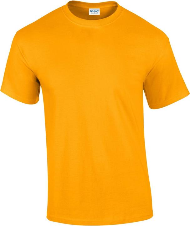 Gildan TShirt (S)