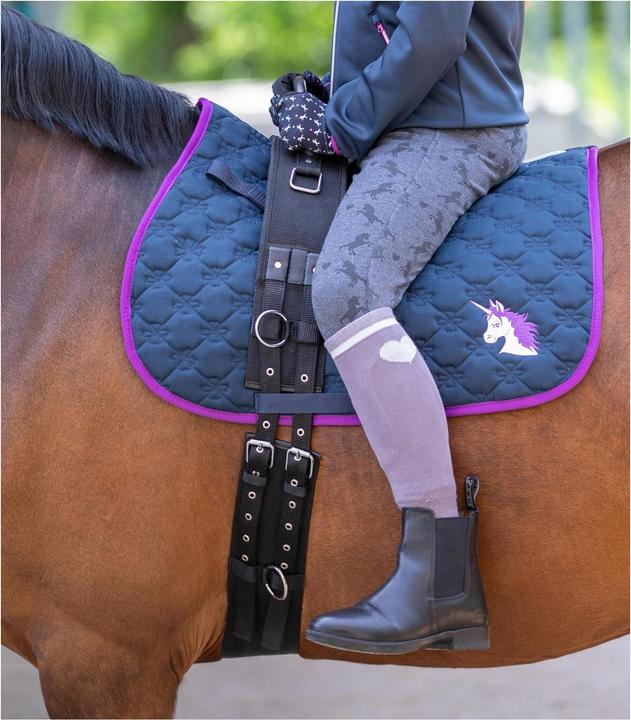 Actual product image Waldhausen Lunging harness with handle