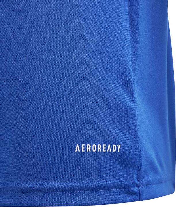 Produktbild adidas FORTORE23 JSY Y (116)