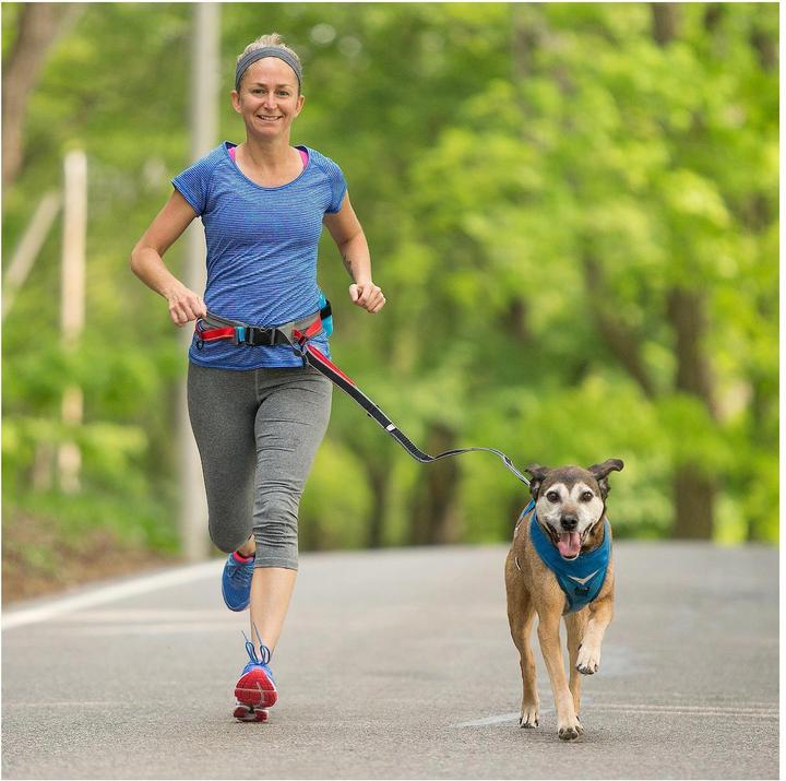 Immagine prodotto Kurgo Guinzaglio a molla (Cane, Jogging)