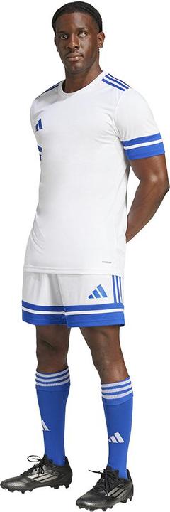 Actual product image adidas Squadra 25 Short (XS)