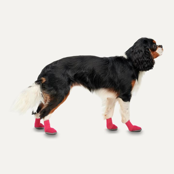 Actual product image Goo-eez Athleticaz, Red/Black, XS, 2 pcs.