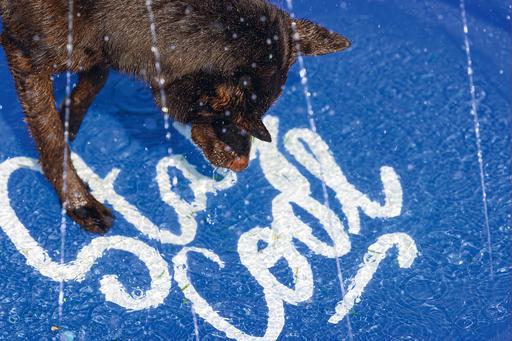 Actual product image Beeztees Bz Sprinkler Mat Stay Cool Bl (Dog pool)