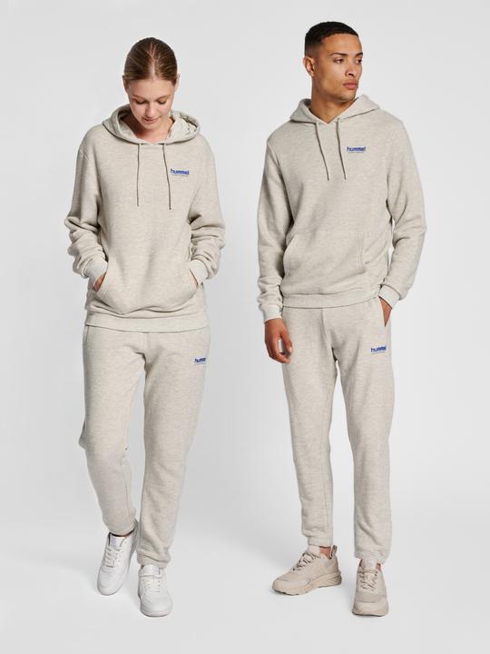 Produktbild hummel Lgc Austin Hoodie (M)
