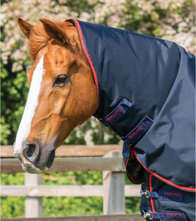 Produktbild Premier Equine Buster 250 g (213 cm)