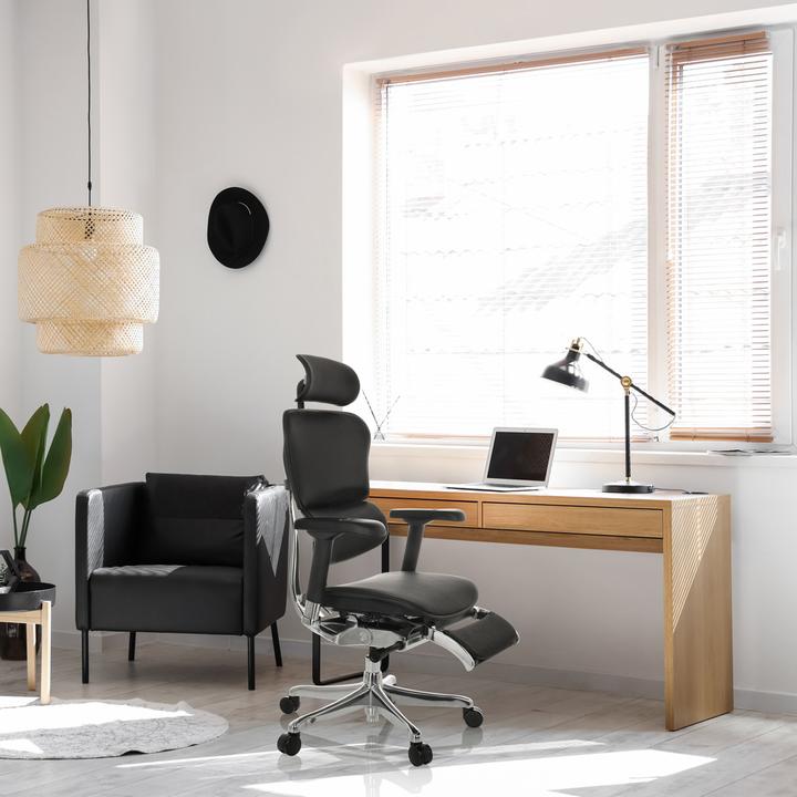 Actual product image Hjh Office Ergohuman Plus Legpro Gen2