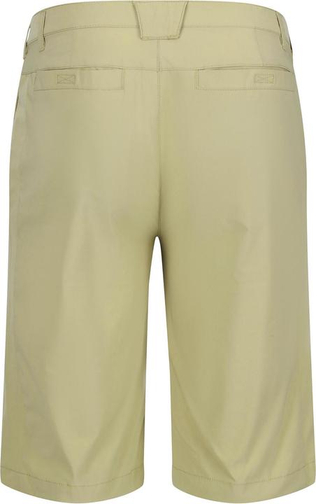 Actual product image Regatta Mens Highton Walking Shorts (44 D)