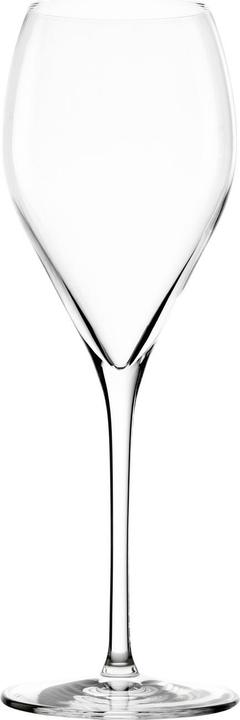 Stölzle Sparkling&Water Champagne Glass 343ml h:232mm (34.30 cl, 1 Glasses, Champagne glasses)