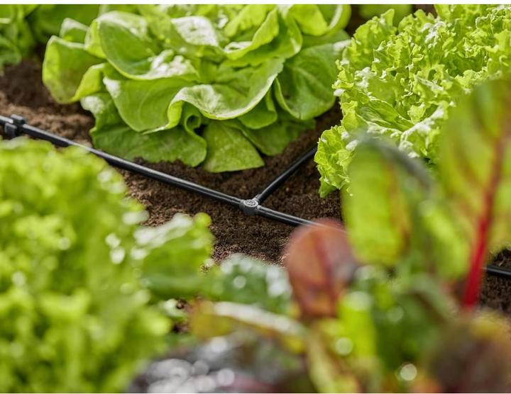 Produktbild Gardena T-Stück 4,6 mm (Tropfbewässerung Verbinder + Abzweiger)