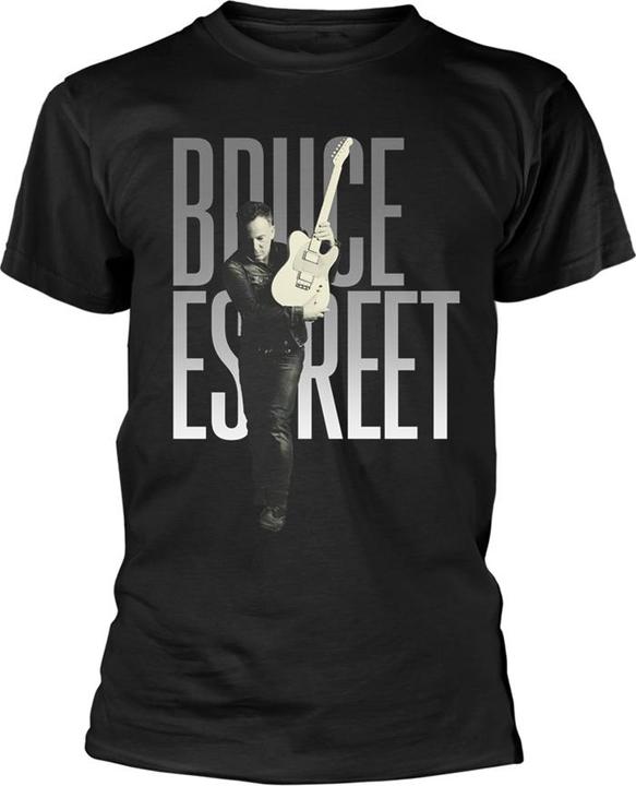 Bruce Springsteen E Street