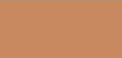 Lancôme Teint Idole Ultra Wear 425C (Camel)