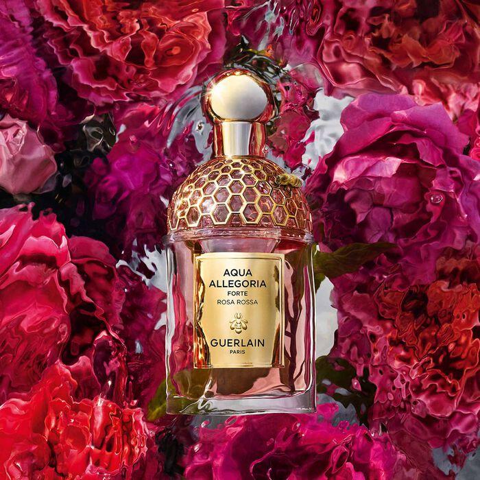 Produktbild Guerlain Aqua Allegoria Forte Rosa Rossa - EDP - 75 ml (Eau de Parfum, 75 ml)