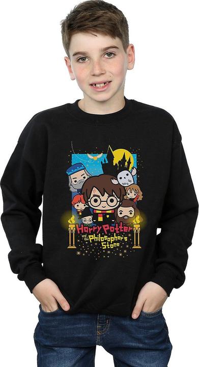 Image du produit Harry Potter Sweatshirt pour garçons (116)