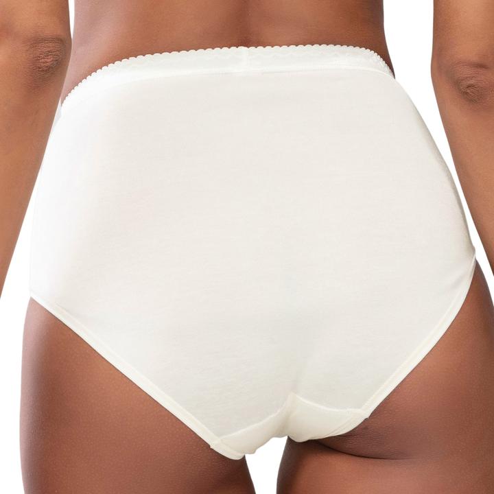 Actual product image Mey 2 Pack Lights Waist Briefs (42, pack of 2)