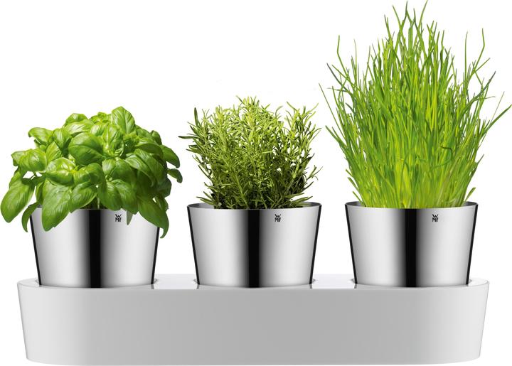 Actual product image WMF herb garden (14 cm)