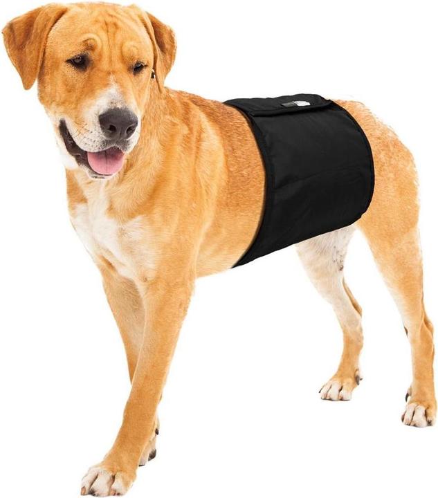 Image du produit Karlie Gentleman Wraps Plus (S, Combinaison pour chien)