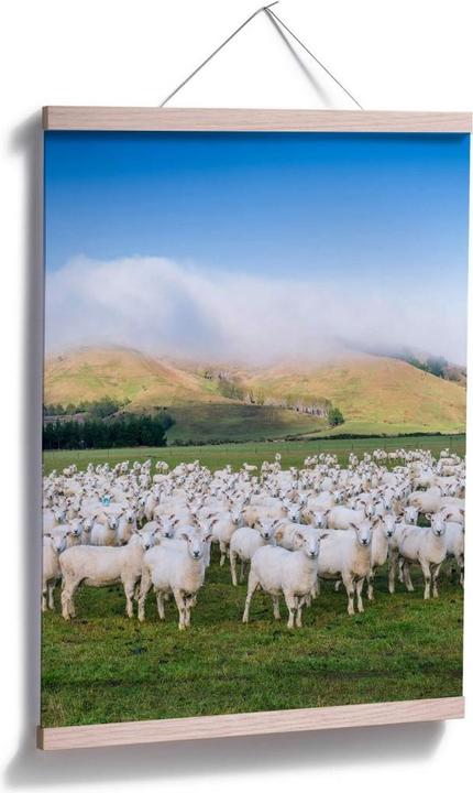 Produktbild Trenddeko Schafherde in Neuseeland (100 x 120 cm)