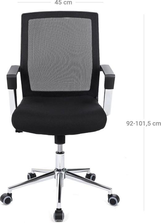 Actual product image Songmics Buddy