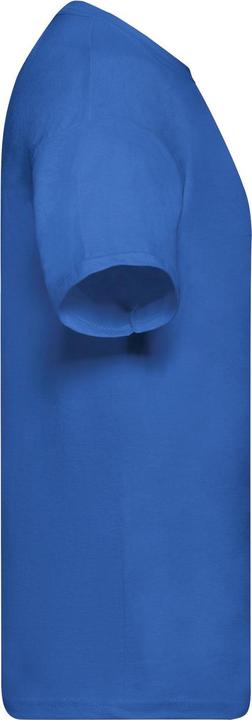 Actual product image Fruit of the Loom Mens Original T-Shirt (L)