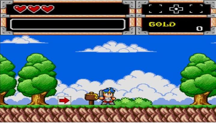 Immagine prodotto ININ Games Collezione Wonder Boy (PS4, DE)