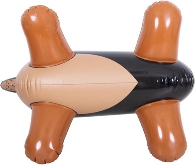 Actual product image Jilong SUP Pumpe