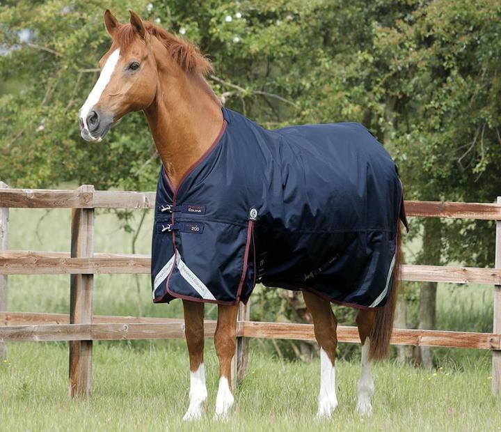 Immagine prodotto Premier Equine Coperta invernale Titan Original 200 g (206 cm)