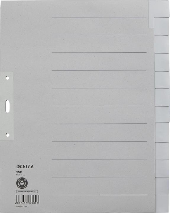 Actual product image Leitz Register Papier