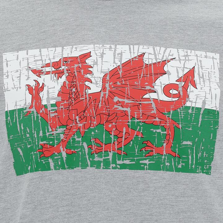 Produktbild Macron t-shirt acron wales rugby xv 2020/21 (M)