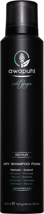 Actual product image Paul Mitchell Awapuhi Wild Ginger Dry Shampoo Foam (195 ml, Liquid shampoo)