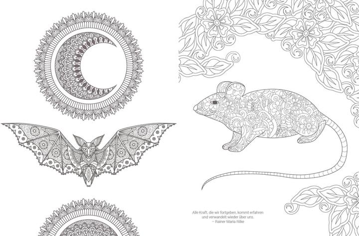 Image du produit Mandala