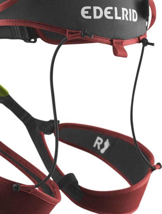 Actual product image Edelrid Zack Gym II rental climbing harness (XS)