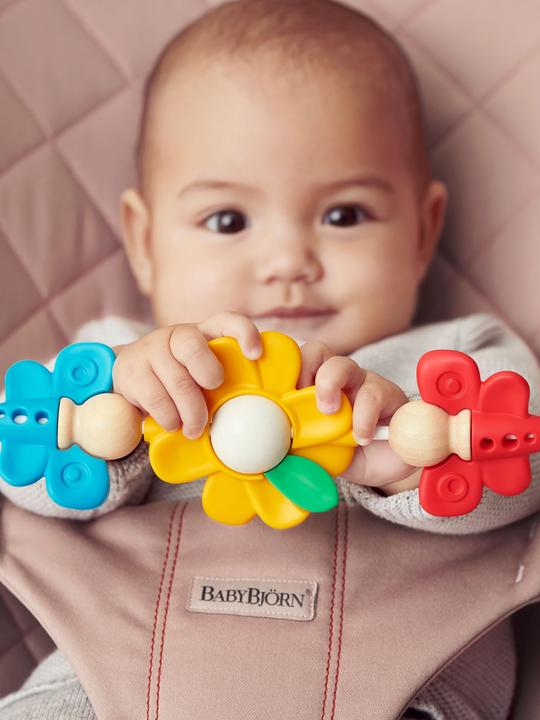 Image du produit BabyBjörn Amis volants
