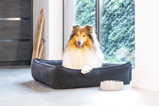 Produktbild Designed by Lotte Ribbed (Hund)