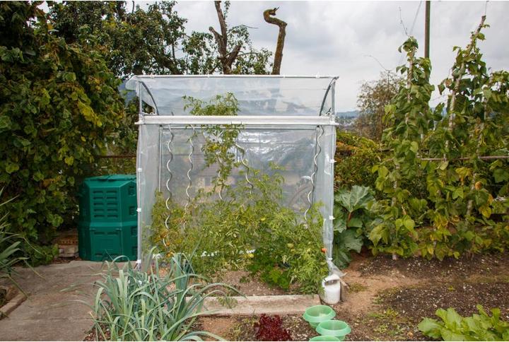 Image du produit Neogard Maison de la tomate
