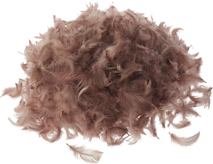 Image du produit VBS Plumes d'oie, 20 g
