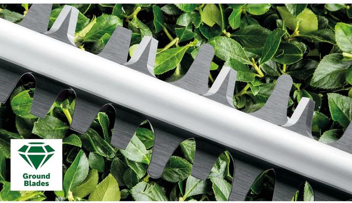Actual product image Bosch Home & Garden AdvancedHedgeCut 65 (Electric hedge trimmer)