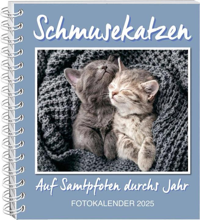 Actual product image Schmusekatzen Fotokalender 2025 (17 x 20 cm, German)