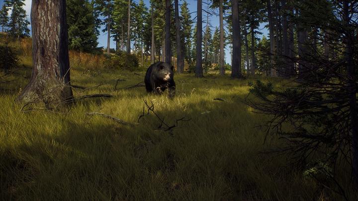 Image du produit THQ Way of the Hunter - Chasse Saison 1 (PS5, FR)