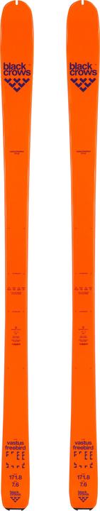 Image du produit Black Crows Ski Vastus Freebird 2021 (163 cm, Sans reliure)