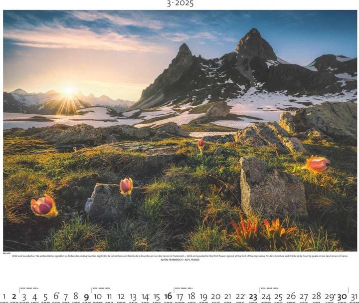Image du produit Paysage en lumière 2025 - Calendrier illustré - Calendrier poster - 60x50 (50 x 60 cm, Couverture rigide, Allemand)