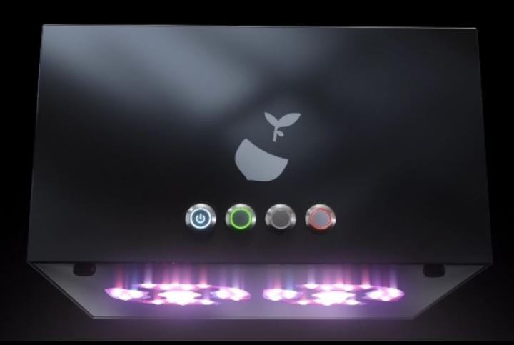 Actual product image Hazelbox Plus