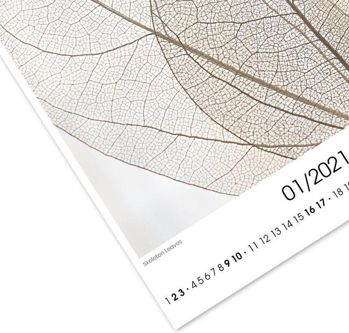 Produktbild Juniqe Babett Schultze - Calendar 2021 - Natur (35 x 58 cm, Harter Einband, Englisch)