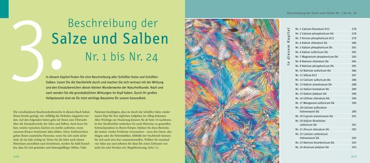Immagine prodotto Maxi-Quickfinder Schüssler-Salze (Tedesco, Guenther H. Heepen, 2015)