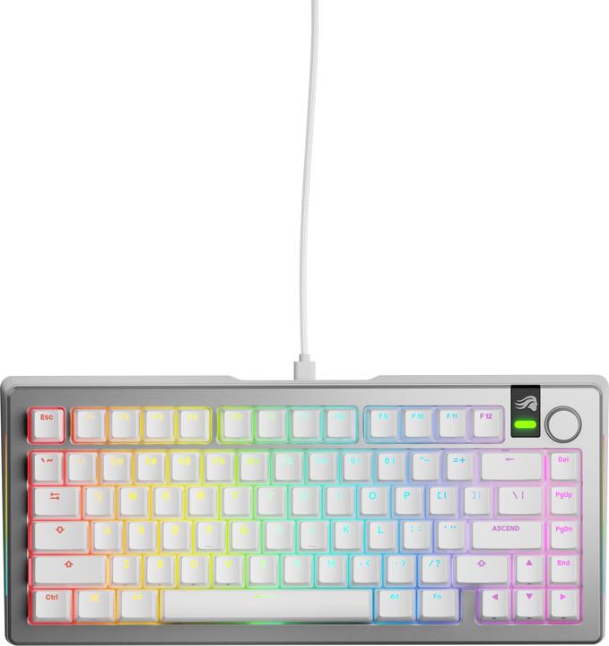 Actual product image Glorious GMMK 3 Pro 75 % Custom Gaming Keyboard - Pre-Built, ANSI (US), Fox Switches, silver (Cable)