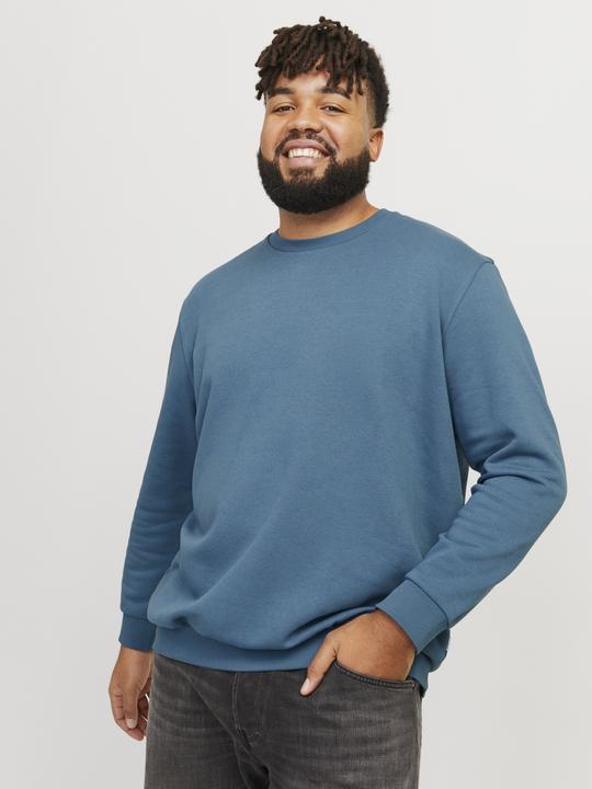 Actual product image Jack & Jones Jjebradley Sweat Crew Noos Pls (6XL)